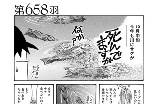 第６５８羽 표지