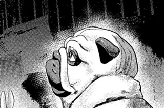 ＃４９ 託す犬 표지