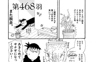 第４６８羽 표지