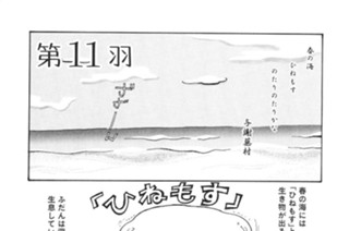 第１１羽 표지