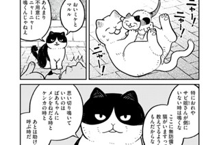 15화 番外編７ 표지