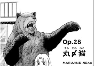 Ｏｐ．２８ 丸〆猫（まるじめねこ） 표지