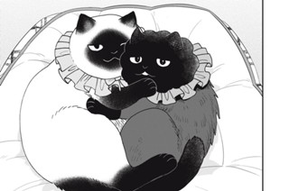 第５０話 ペルティの失敗 표지