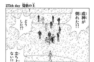 275화 ２７５ｔｈ ｄａｙ 覚悟の上 표지