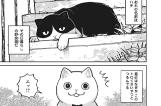 第３話 ハチハウス 표지
