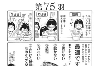 第７５羽 표지