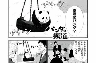 第４１話 幸運のパンダ 표지