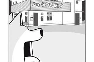13화 １３ｔｈ Ｂａｒｋｉｎｇ：Ｉｎｊｅｃｔｉｏｎ！ 표지