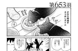 第６５３羽 표지