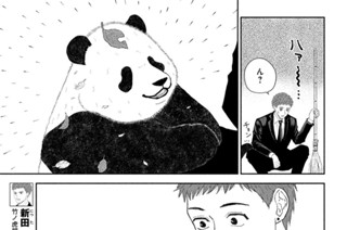 第１４話 秋の戯れ 표지