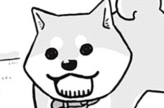 51화 ５１ｓｔ Ｂａｒｋｉｎｇ：Ｐｏｌｌｅｎ！ 표지
