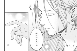 ＶＯＬ．００５ とりけす（２） 표지