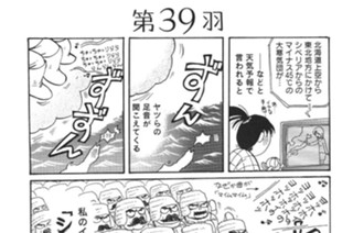第３９羽 표지