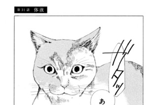 第３１話 体液 표지