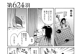 第６２４羽 표지