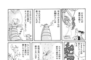 第３６羽 표지