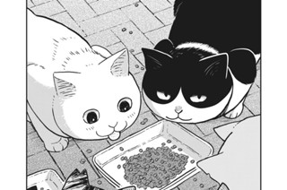 第２話 その日暮らしノウハウ 표지