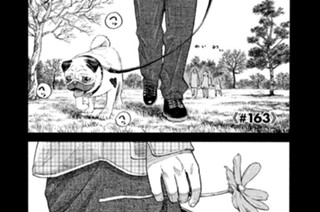 ≪＃１６３≫ 自分の場所へ 표지
