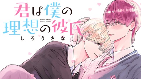 君は僕の理想の彼氏 표지