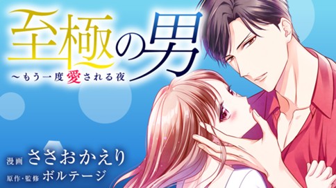 至極の男～もう一度愛される夜 표지
