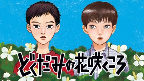 どくだみの花咲くころ 표지