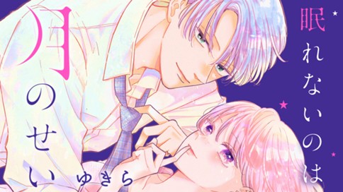 眠れないのは月のせい 표지