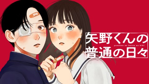 矢野くんの普通の日々 표지