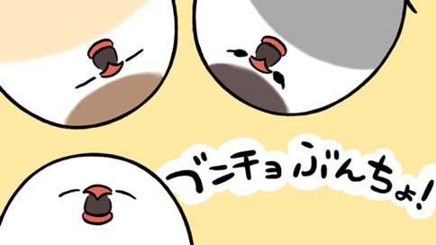 ブンチョぶんちょ！ 표지