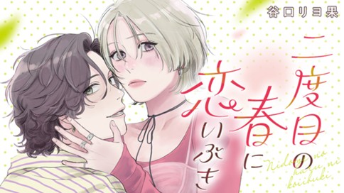 二度目の春に恋いぶき 표지