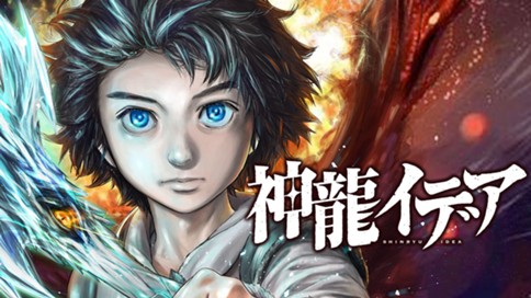 神龍イデア 표지
