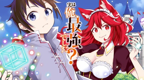 実は俺、最強でした？ 표지