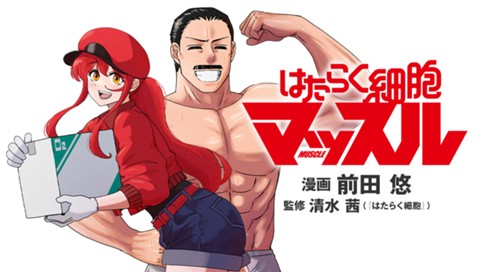 はたらく細胞マッスル 표지