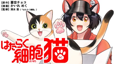 はたらく細胞　猫 표지