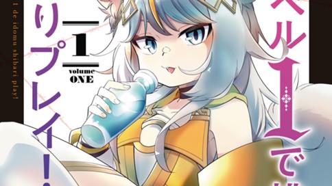 レベル１で挑む縛りプレイ！ 표지