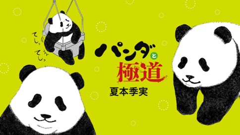 パンダと極道 표지