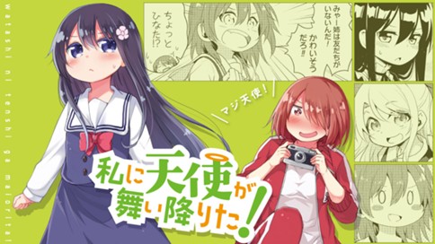 私に天使が舞い降りた！ 표지